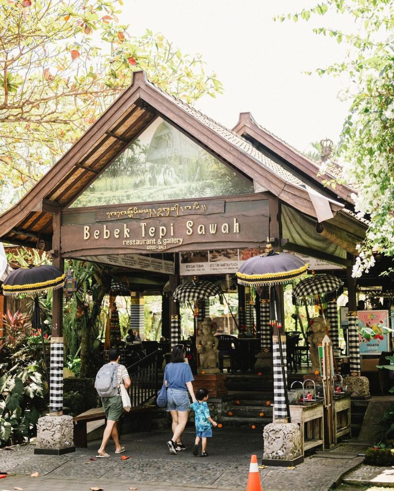 Bebek Tepi Sawah outlet