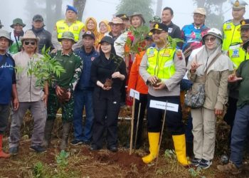 Atasi Kerusakan Lingkungan, Aliansi Masyarakat di Brebes Tanam 1.000 Pohon