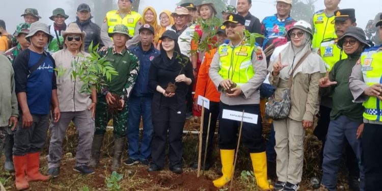 Atasi Kerusakan Lingkungan, Aliansi Masyarakat di Brebes Tanam 1.000 Pohon